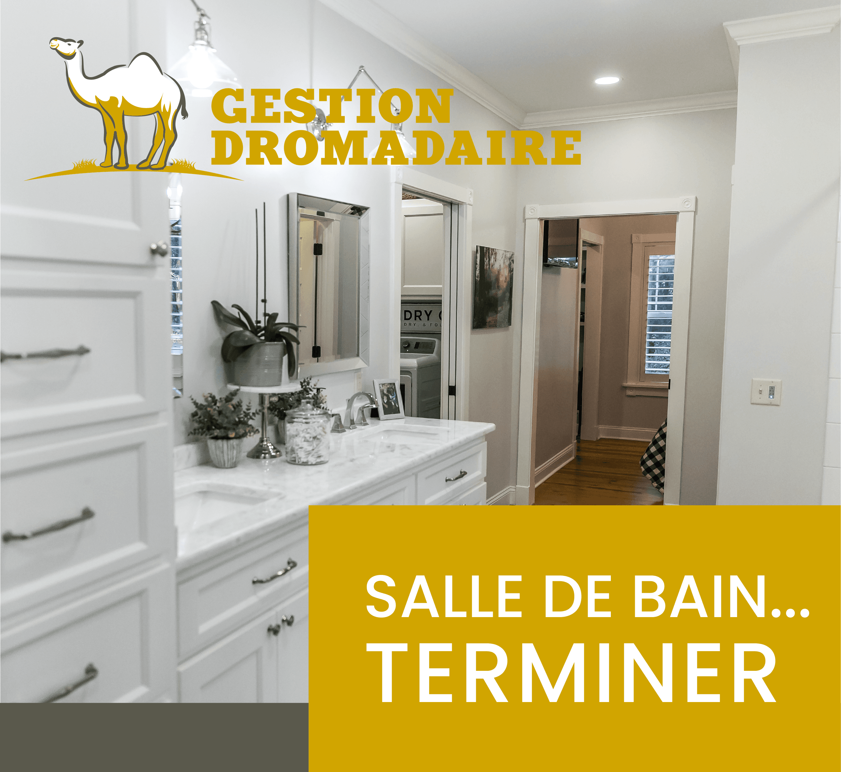 Images Gestion Dromadaire Inc