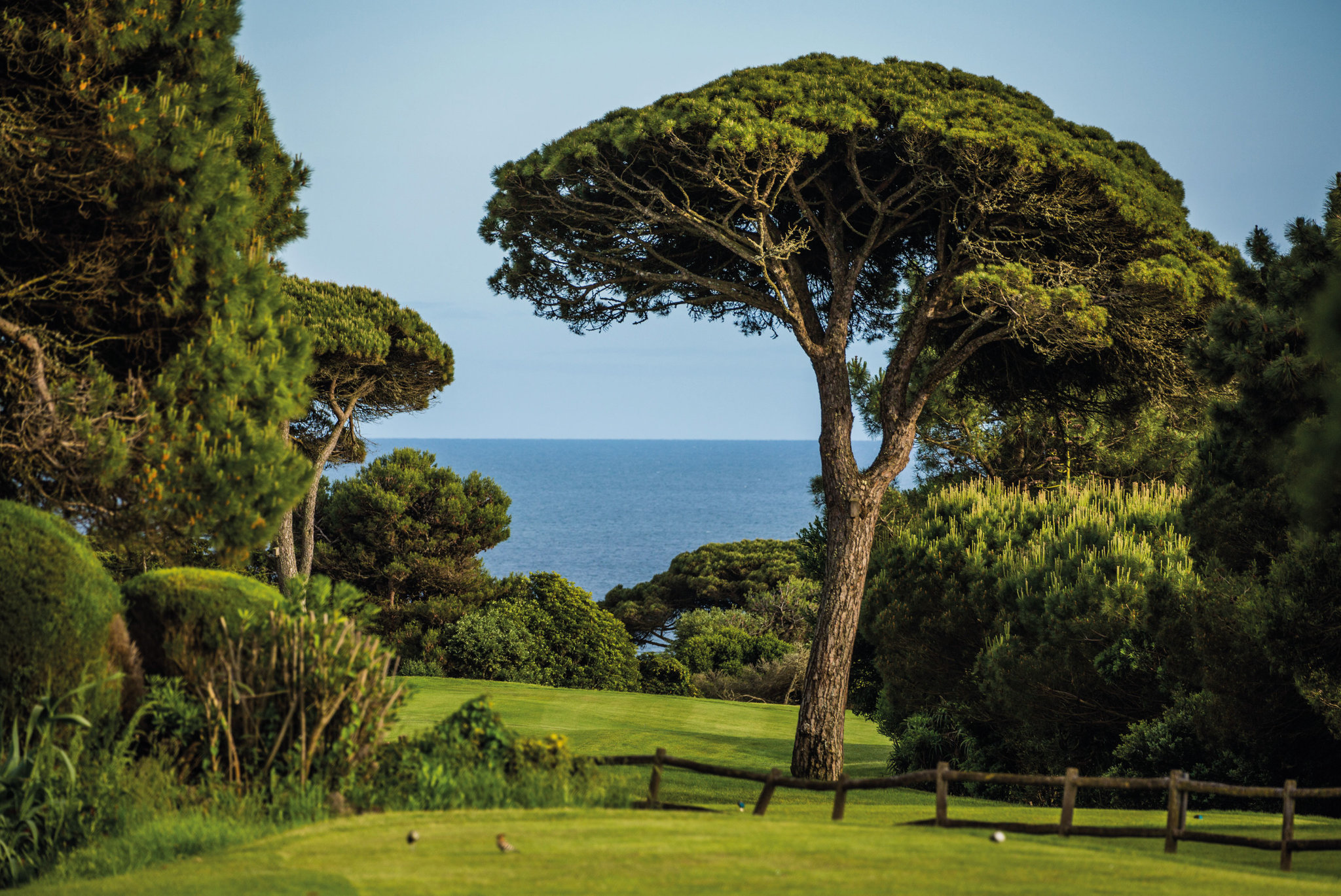 Images Onyria Marinha Cascais, Vignette Collection by IHG