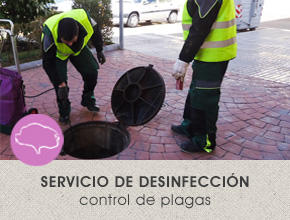 Images La Encina Servicios Integrados S.L.U.
