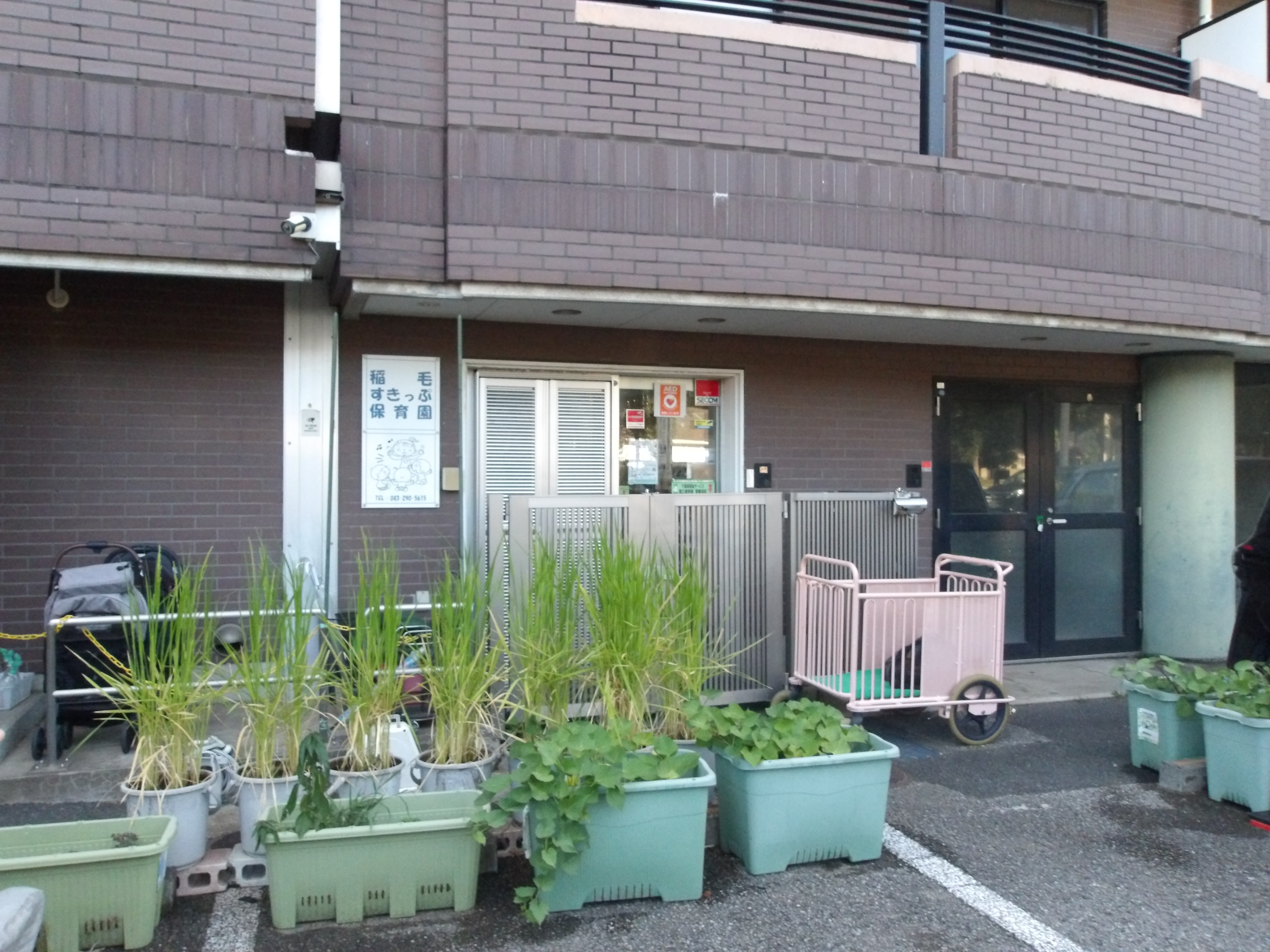 Images 稲毛すきっぷ保育園