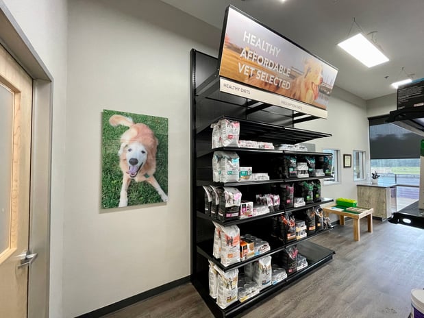 Images CityVet | Kingwood Veterinary Clinic & Urgent Care