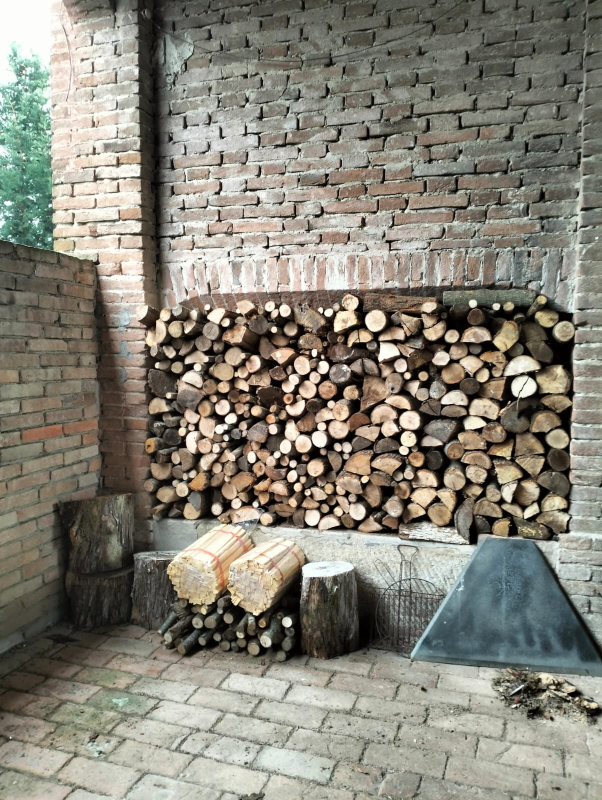 Images Mr Wood di Alessandro Castelli