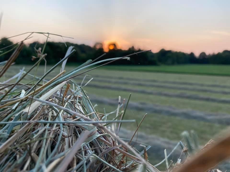 Dearing Farms General Contracting LLC Image