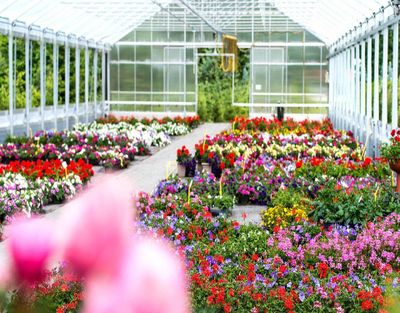 Images Vivai Euroflora