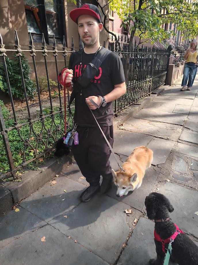 Downtown Brooklyn Pet Care Image