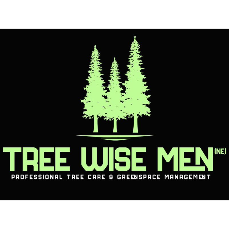 LOGO Tree Wise Men (NE) Ltd Seaham 07796 936224