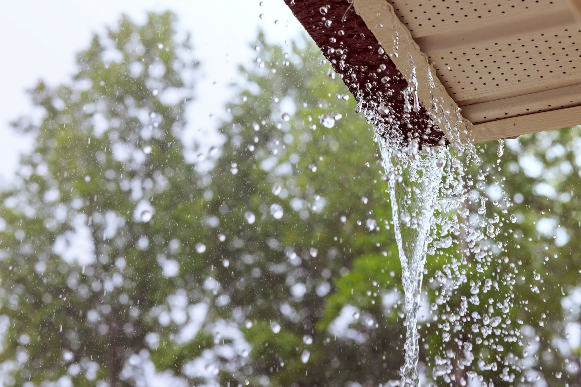 House in need of gutter repair in Logan, Utah