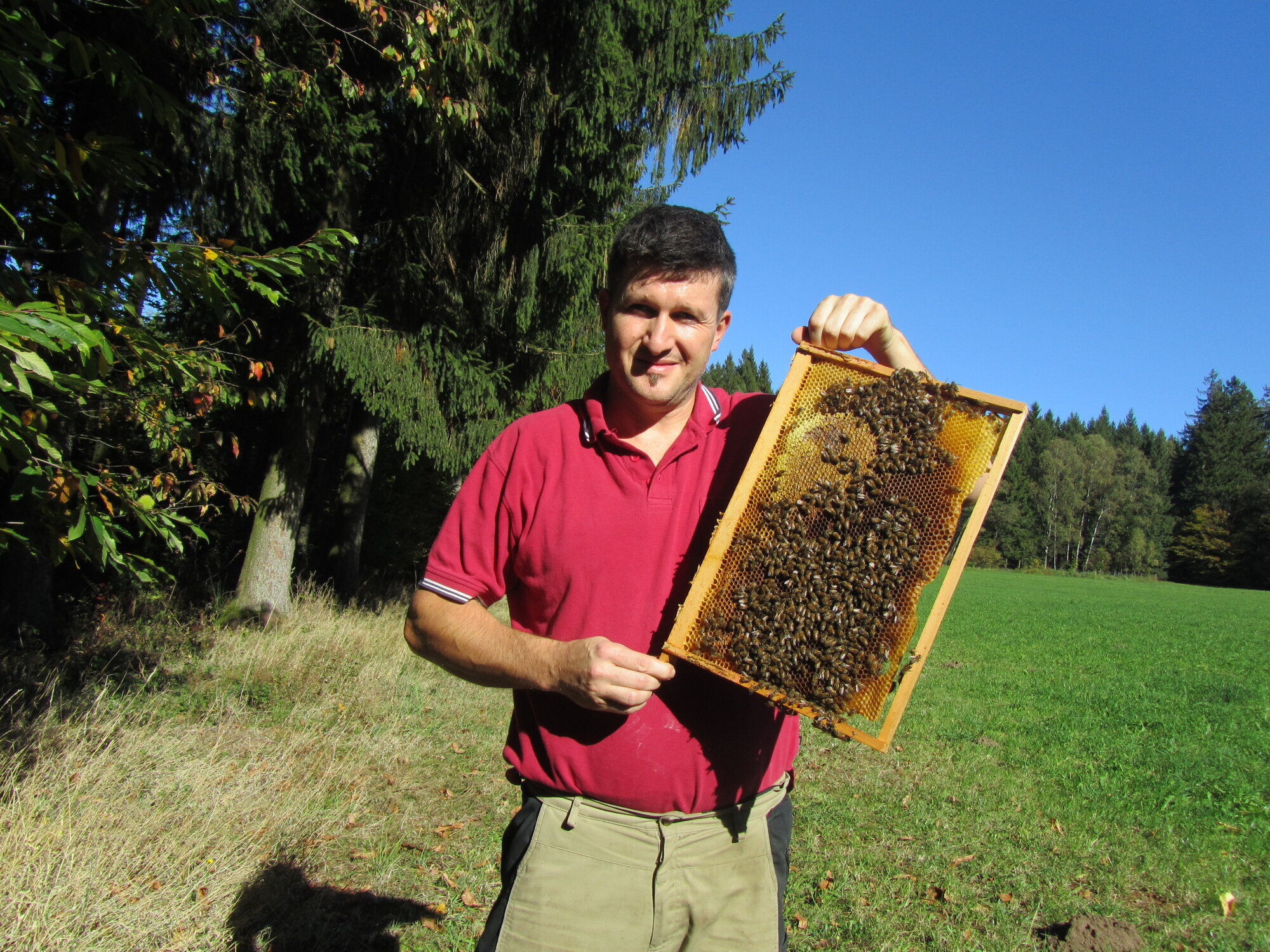 Schwarzwaldimkerei Martin Volk, Am Steineberg 20 in Schuttertal