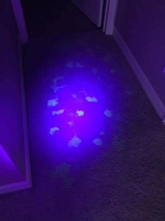 Images Brody’s Dry Professional Carpet Cleaning