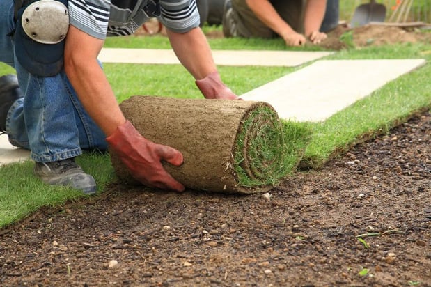 Images Simply Sod & Landscaping