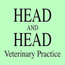 Head & Head Veterinary Practice Ltd Logo