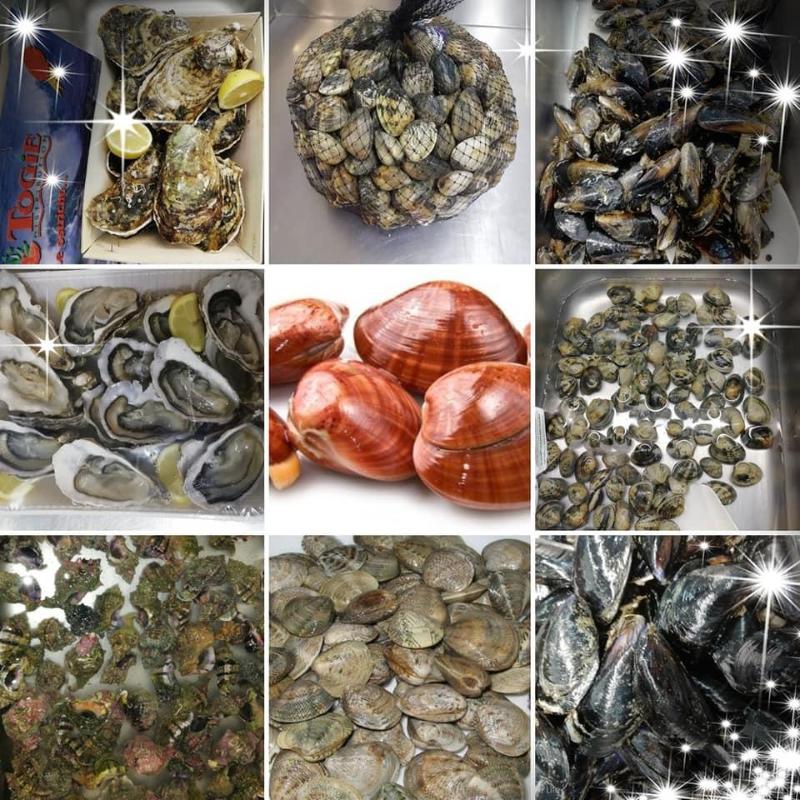 Images Prontomar Srl - Pescheria e Gastronomia