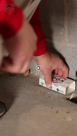 Images Nashville Pest Control - DOA Pest Service