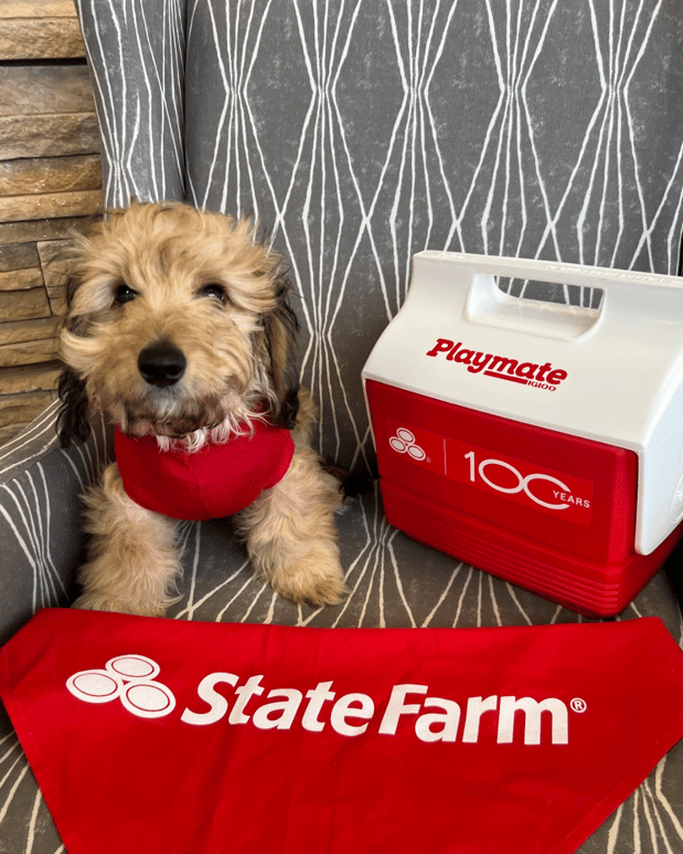 Images Ted Wilkes - State Farm Insurance Agent