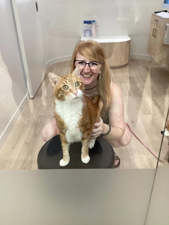 Images Petfolk Veterinary & Urgent Care - East Cobb Marietta