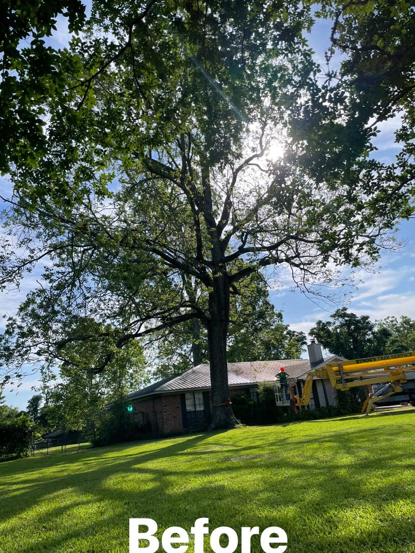 Bynog's Tree Services Image