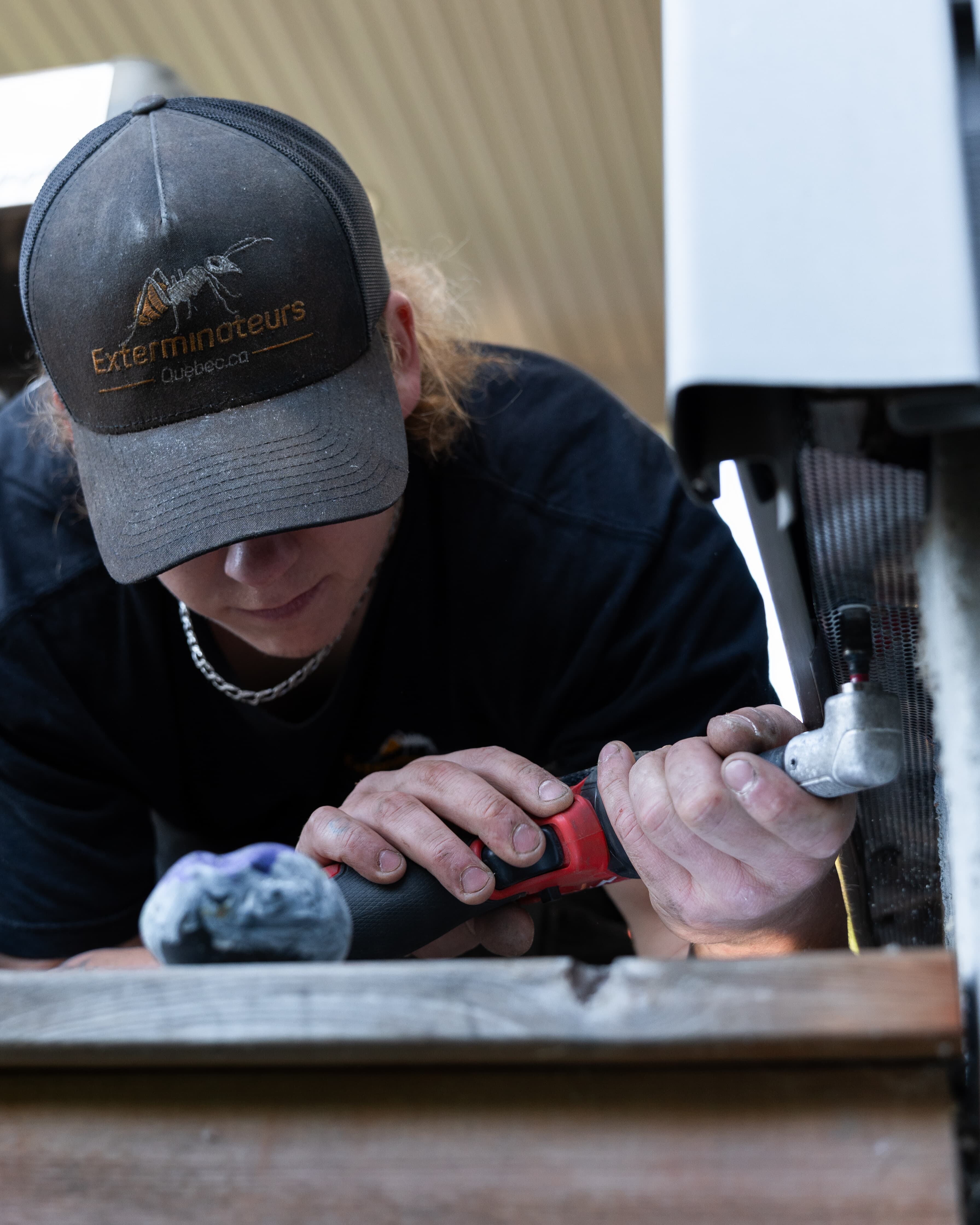 Images Exterminateurs Québec