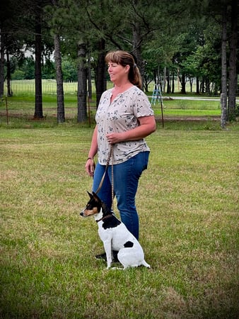Images Integra Dog Training