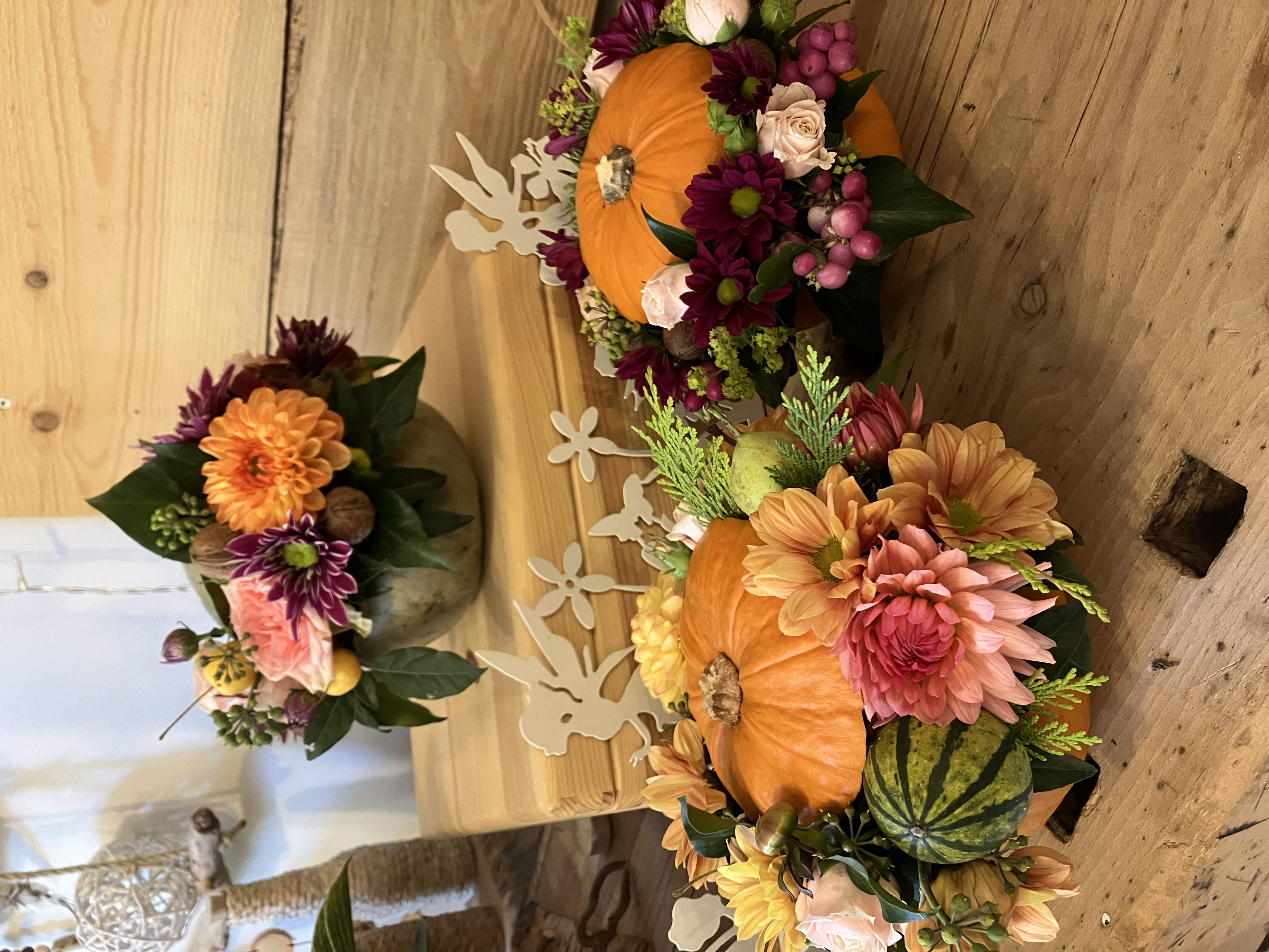 Bilder Fleurs d'Elfes