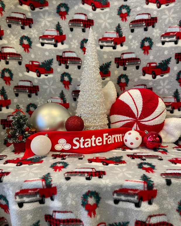 Images Stephen Quiles - State Farm Insurance Agent