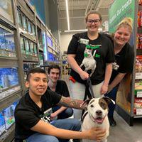 Pet Supplies Plus - New Windsor, NY Photo