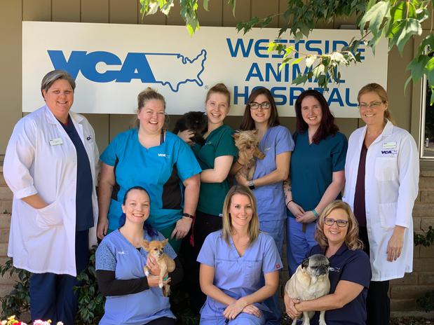 Images VCA Westside Animal Hospital