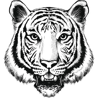 Tiger Gym Equipment