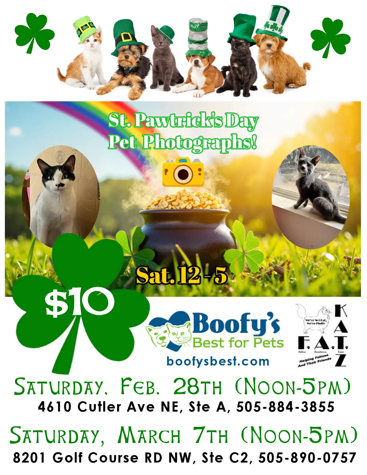 Image of Local Pet Event St. Pawtrick's Day Pet Photos (Cutler store) Nearby