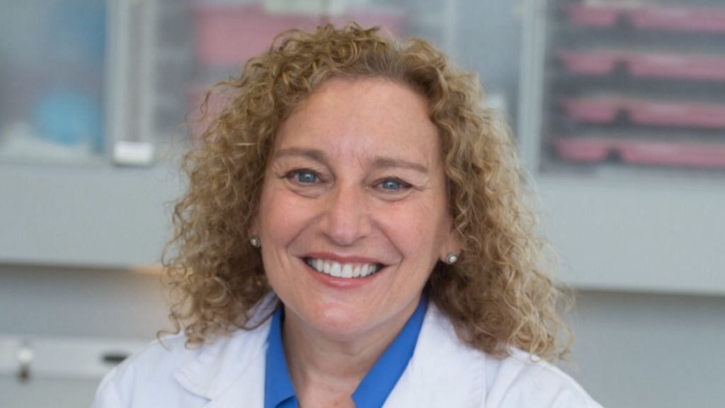 Beth M Goldberg, DDS - Norwalk, CT - Dentistry, General Dentistry