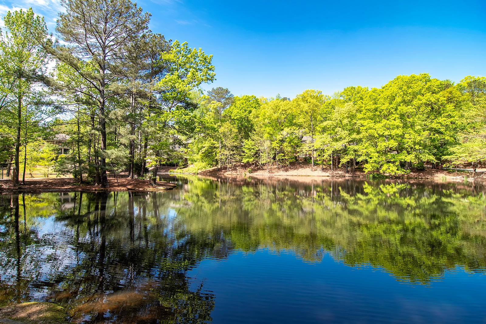 Serene at Woodlake Photo