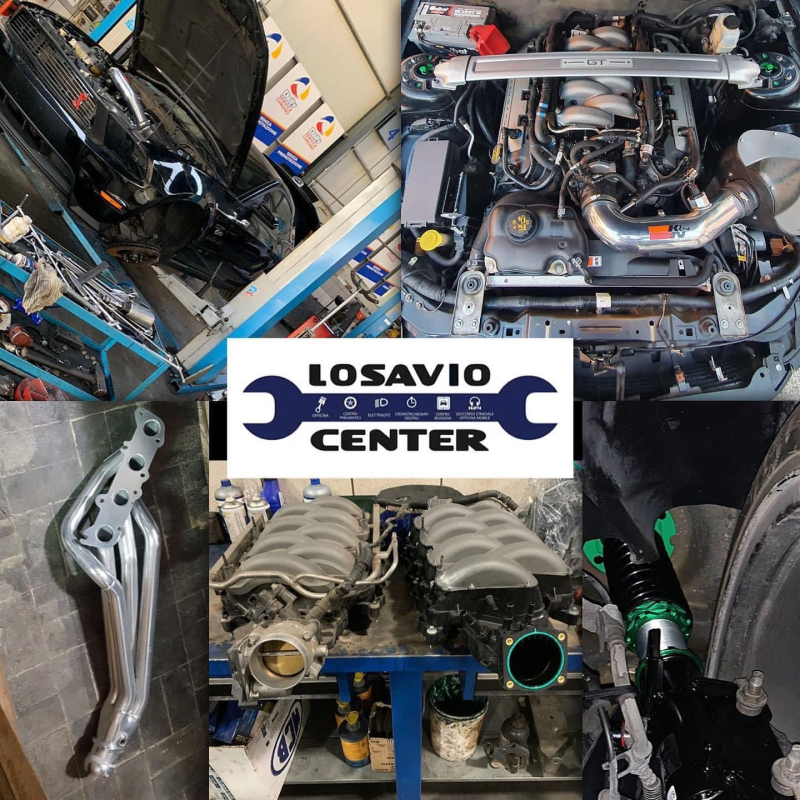 Images Losavio Center