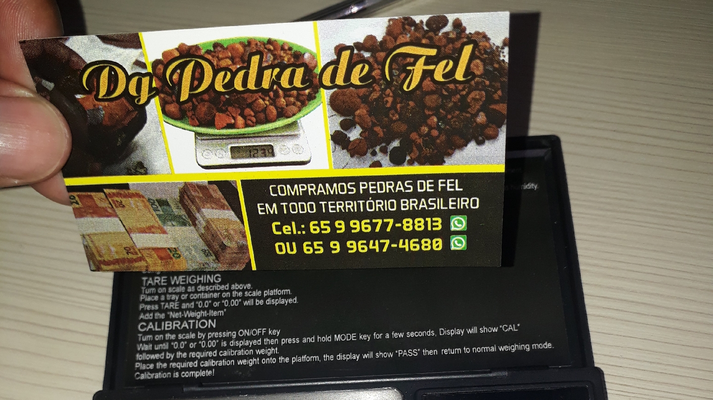 Images Dg pedras de fel bovinos