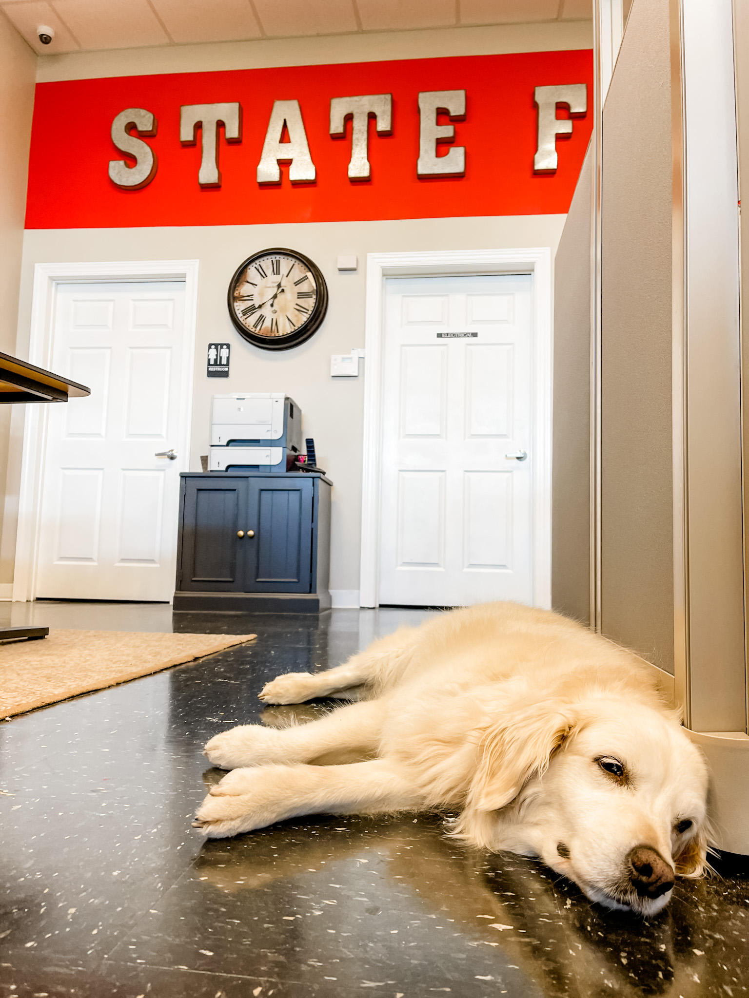 Sandy is just trying to get through the week! Happy Monday from our State Farm Agency to you!