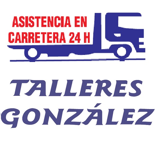 Talleres Y Grúas González Logo