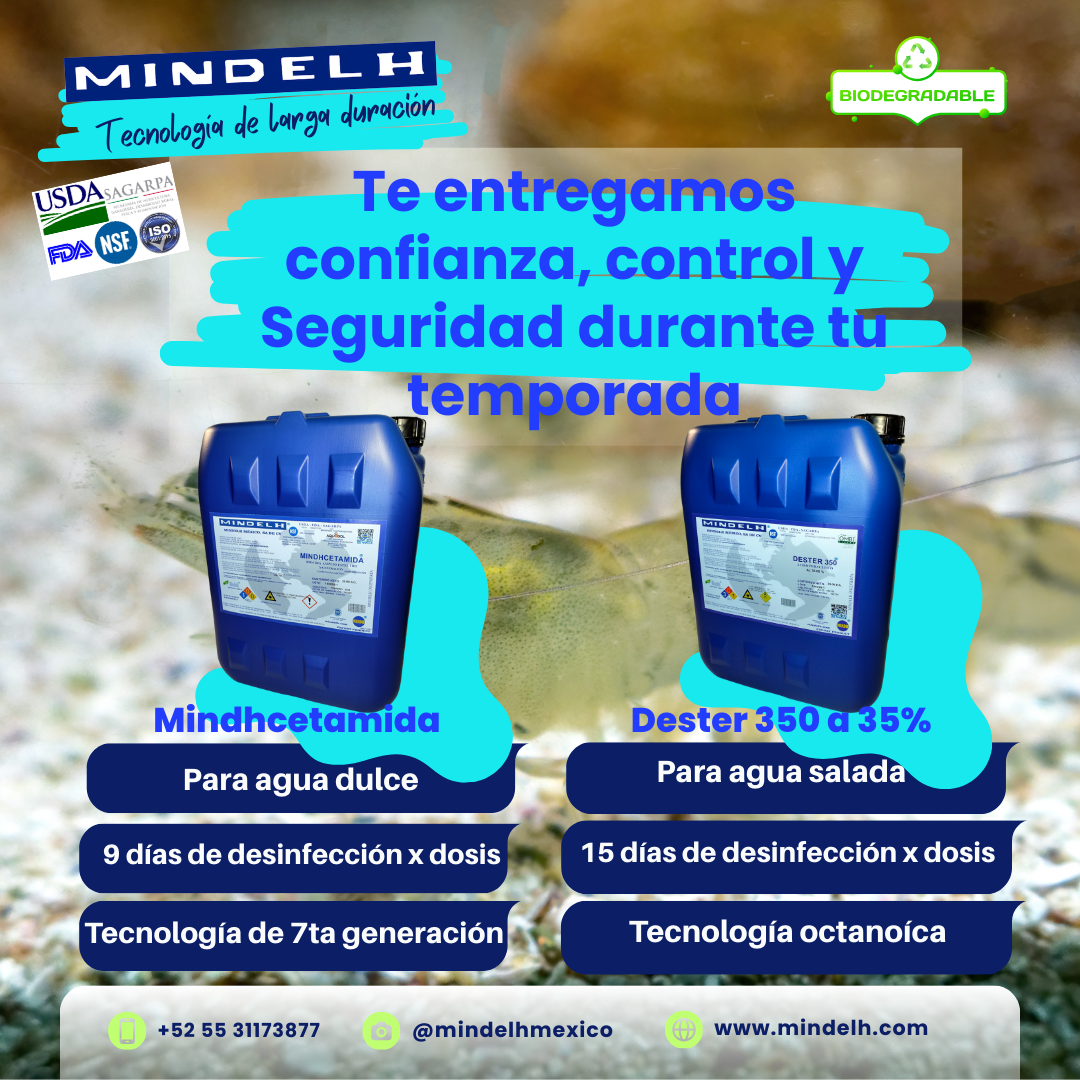 Images MINDELH MÉXICO