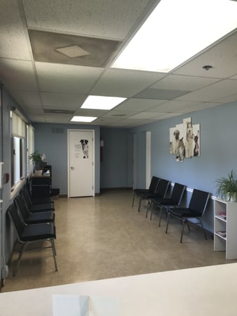 Images VCA Hawthorn Animal Hospital