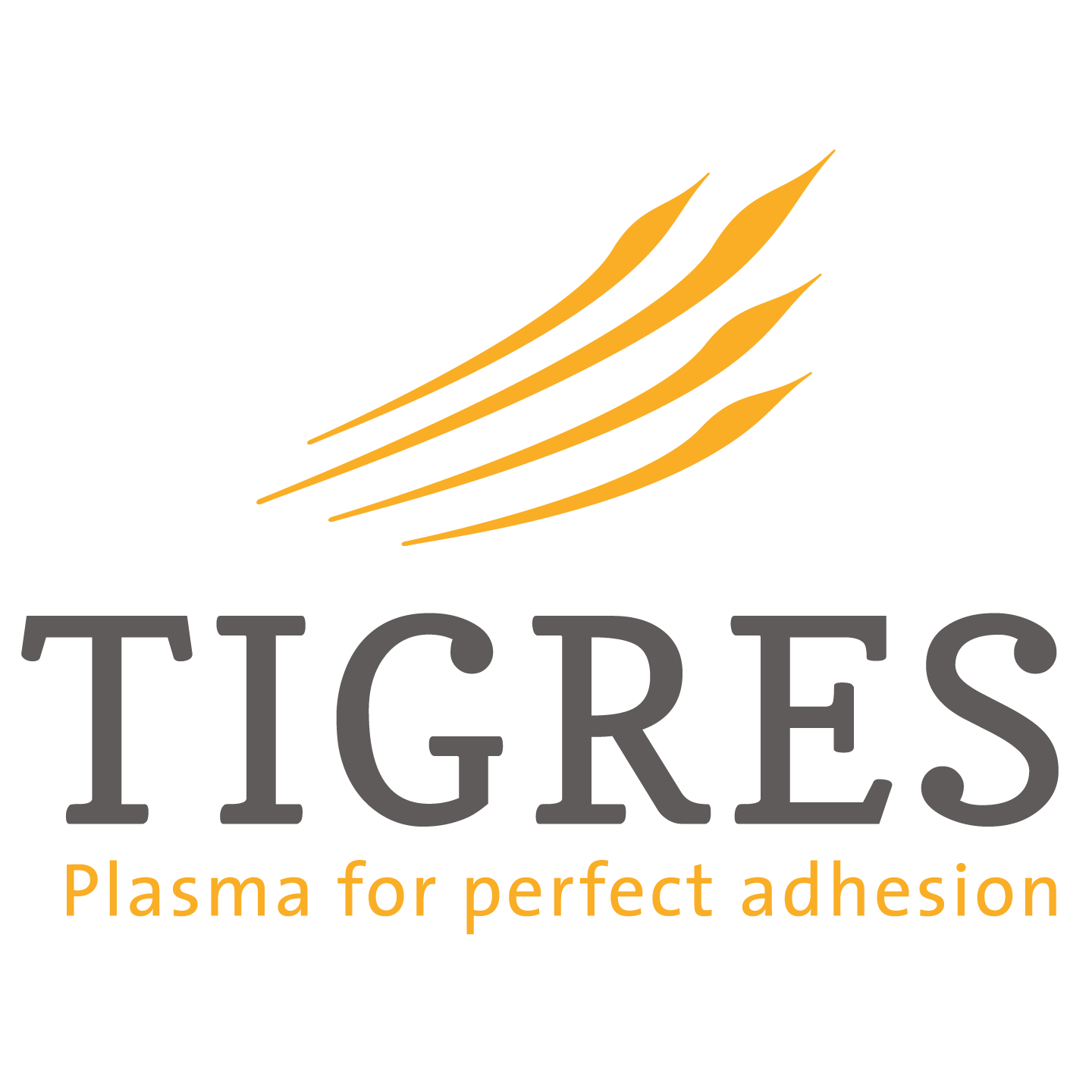 Logo TIGRES GmbH