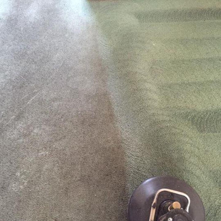 pet carpet cleaner rental