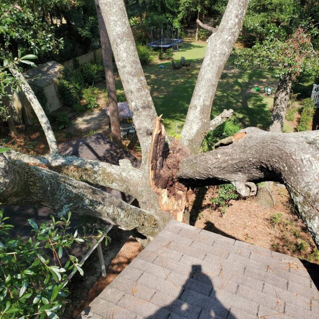 Images Ickes Tree Service Inc