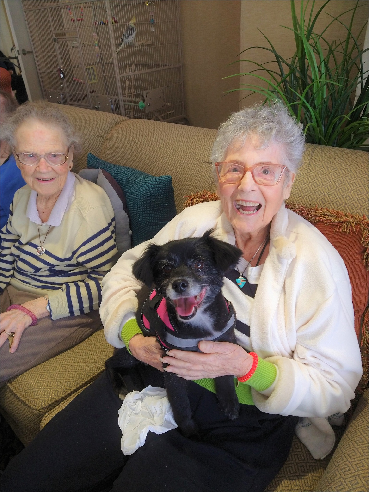 Harbor Terrace Retirement Community Image