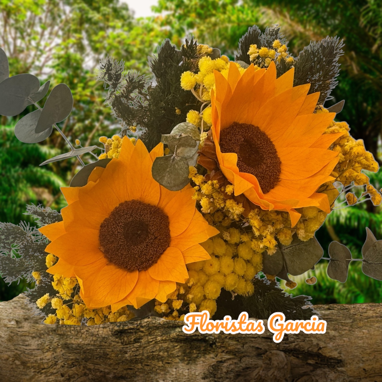 Images Floristas García