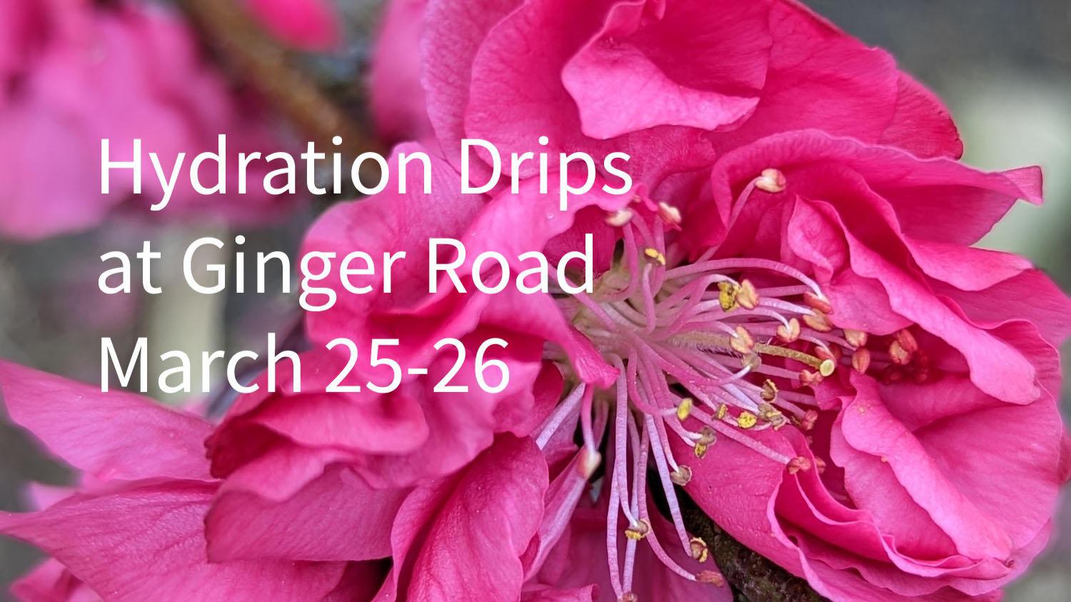 Join us for a Wellness Weekend on March 25 & 26 as we welcome our new RN, Kim Blanton from Firefly Drip Mobile IV Services. Spaces are limited,  contact us for an appointment.
