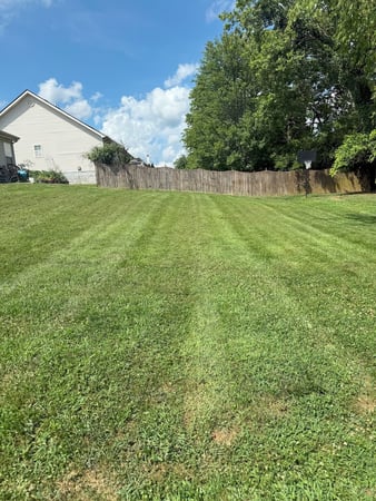 Images LawnCat Lawn Care