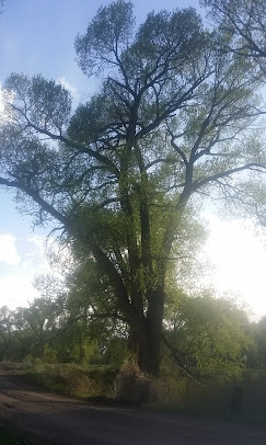 Mogote Meadow Cabins & RV Park Image