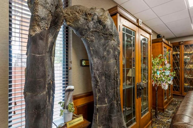 Images Best Western Denver Southwest