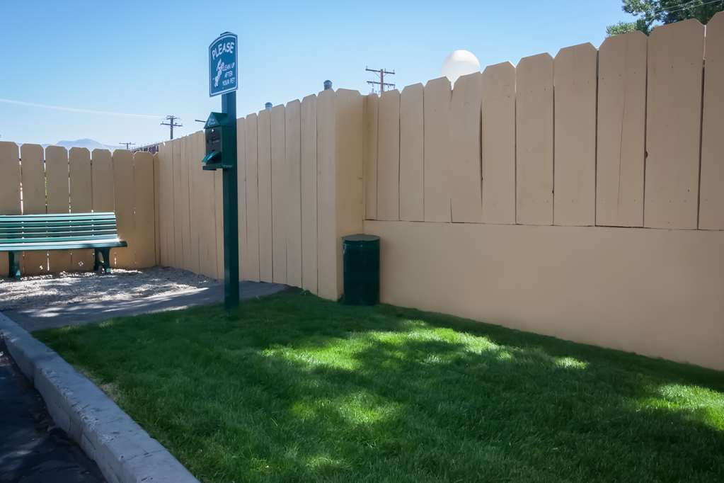 Pet Friendly Area 