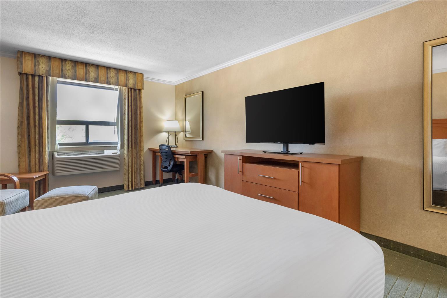 Single Queen Suite