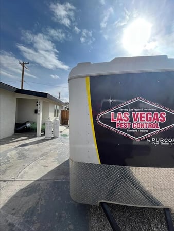 Images Las Vegas Pest Control