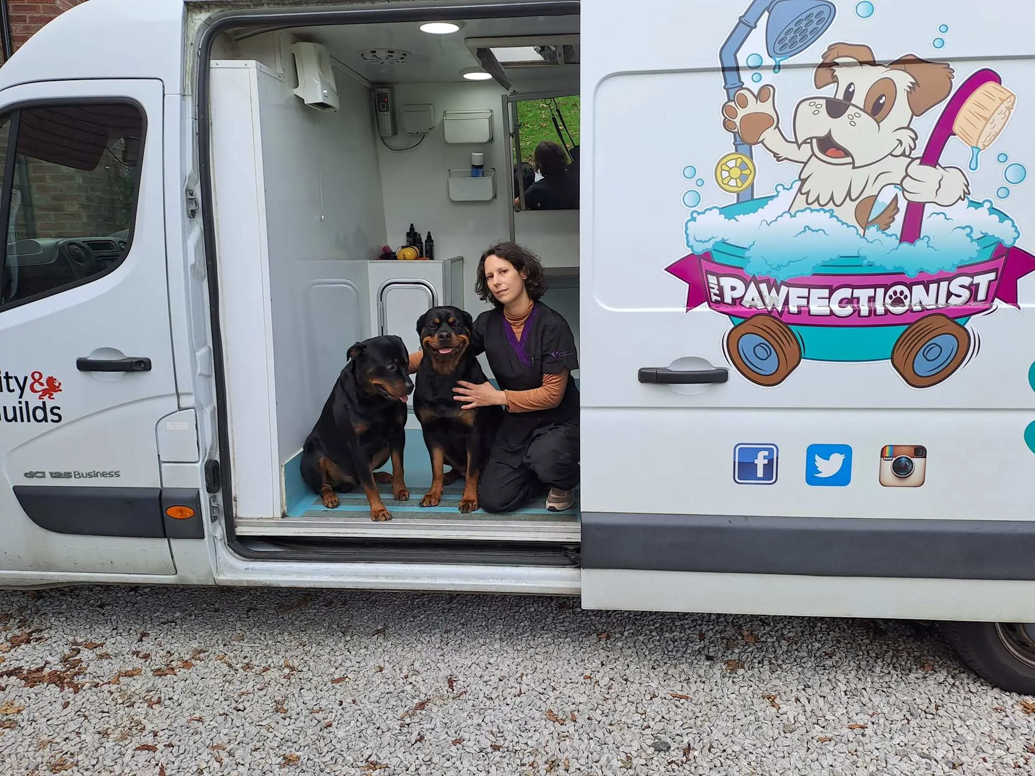 Images The Pawfectionist