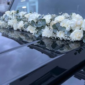 Bilder NA'BLOOM